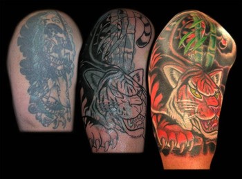 Looking for unique  Tattoos? Tiger cover Up